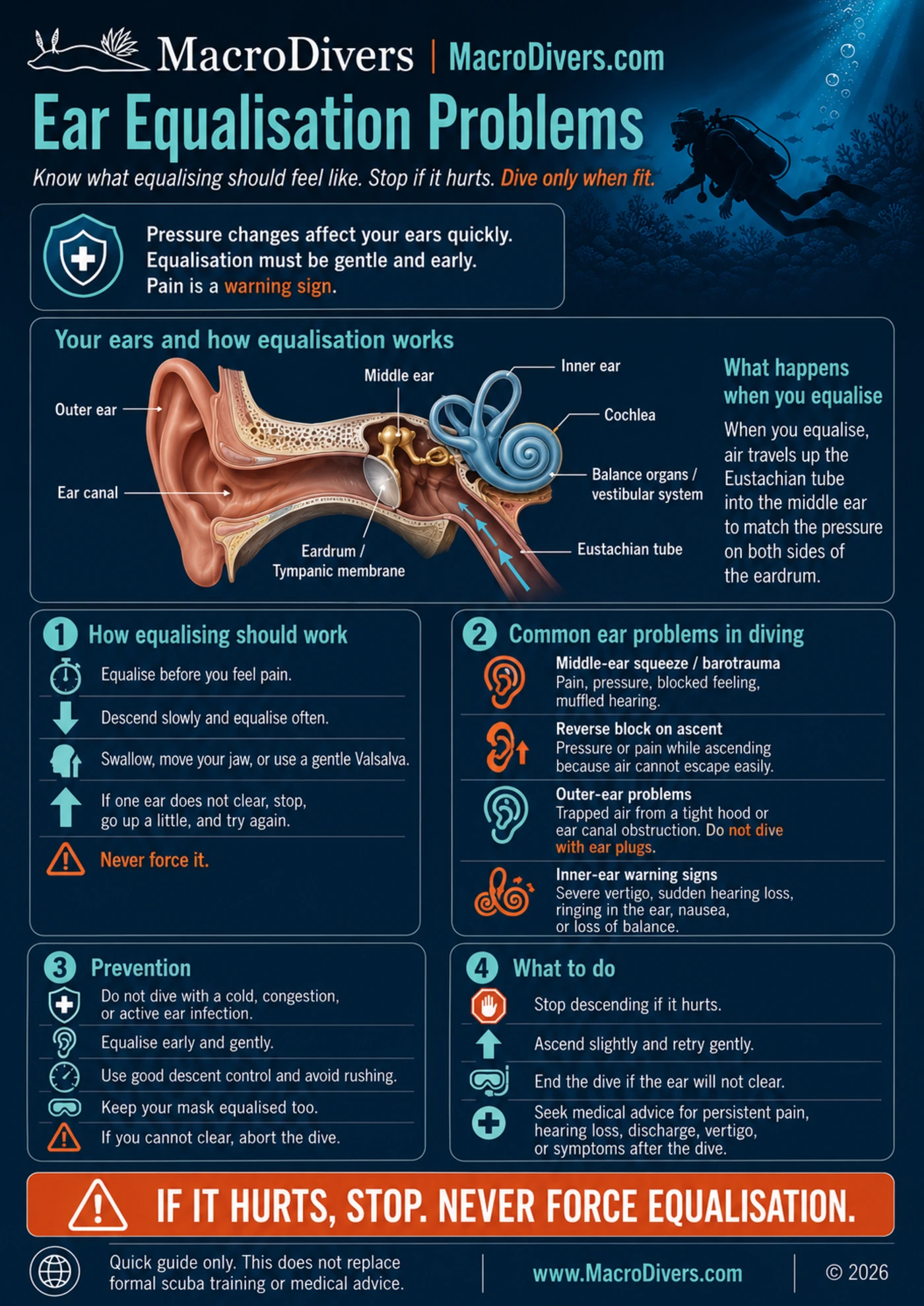 MacroDivers infographic explaining ear equalisation problems with an ear anatomy diagram, equalisation process, common diving ear issues, prevention and what to do.