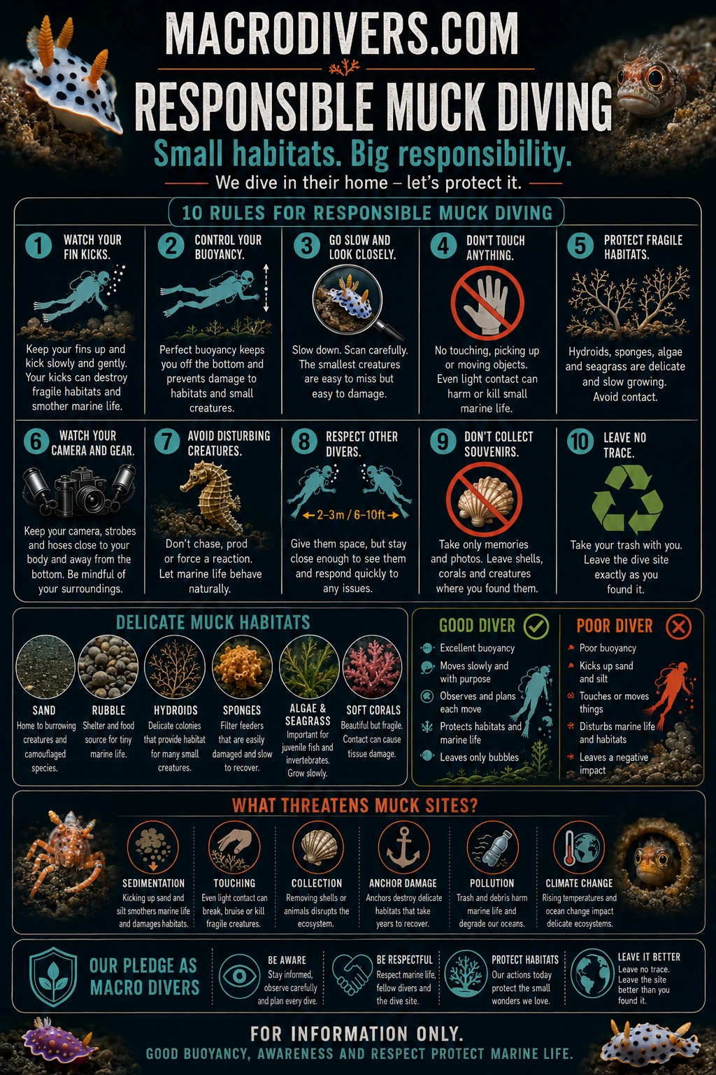 Responsible Muck Diving infographic by MacroDivers.com